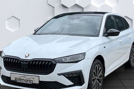 Skoda Scala 1.500 km 29.847 &euro; Berlin 12524