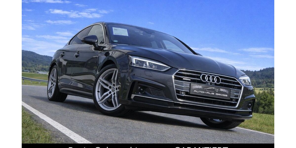 Audi A5 170.900 km 24.850 &euro; Wörth a.d. Donau, bei Regensburg 93086