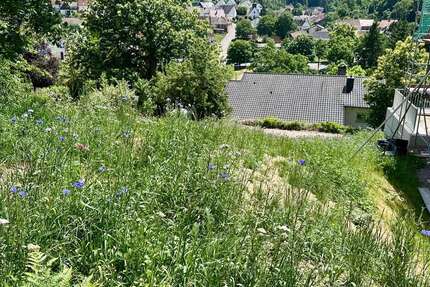 Grundstück zu verkaufen in Kaiserslautern 145.000 € 745 m² zimmer