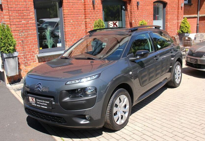 C4 Cactus