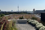 Helles, möbliertes Apartment in U-Bahn Nähe - Etagenwohnung München Moosach | Angebot:26794792