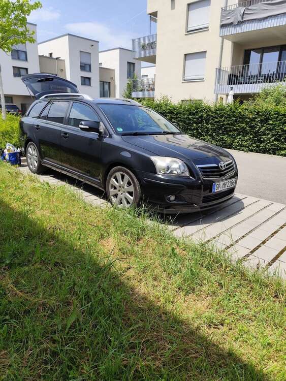 Avensis