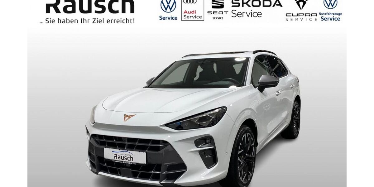 Cupra Terramar 16.020 km 41.750 &euro; Lauterbach 36341