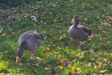 321 - Endlich ins eigene Zuhause 3 zimmer