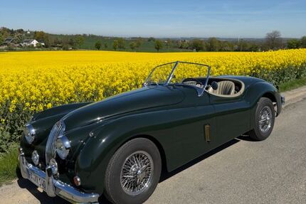 Jaguar XK 4.720 km 99.900 &euro; Hagen 58093