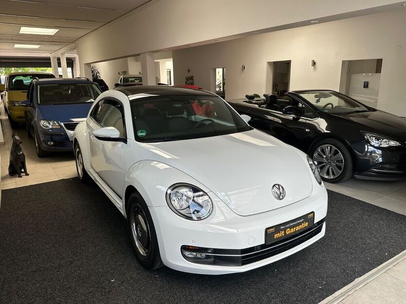 Beetle