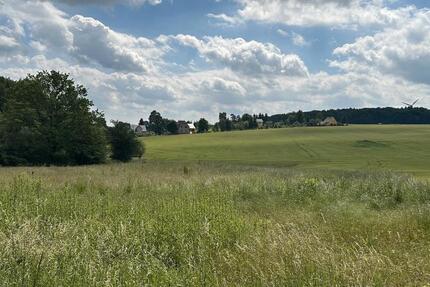 Grundstück Reichenbach im Vogtland - 115.000&euro; | Angebot:19815699