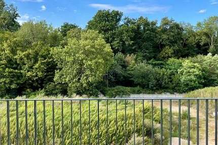 Wohnung Hanau Wofgang Wolfgang - 3 Zimmer, 114 m&sup2;, 1.790&euro; | Angebot:26465294