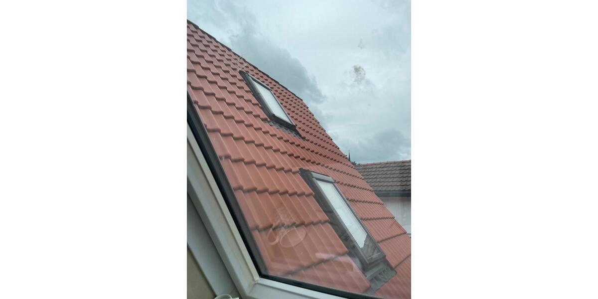 Durch Eigenleistung viel Geld sparen 3 zimmer