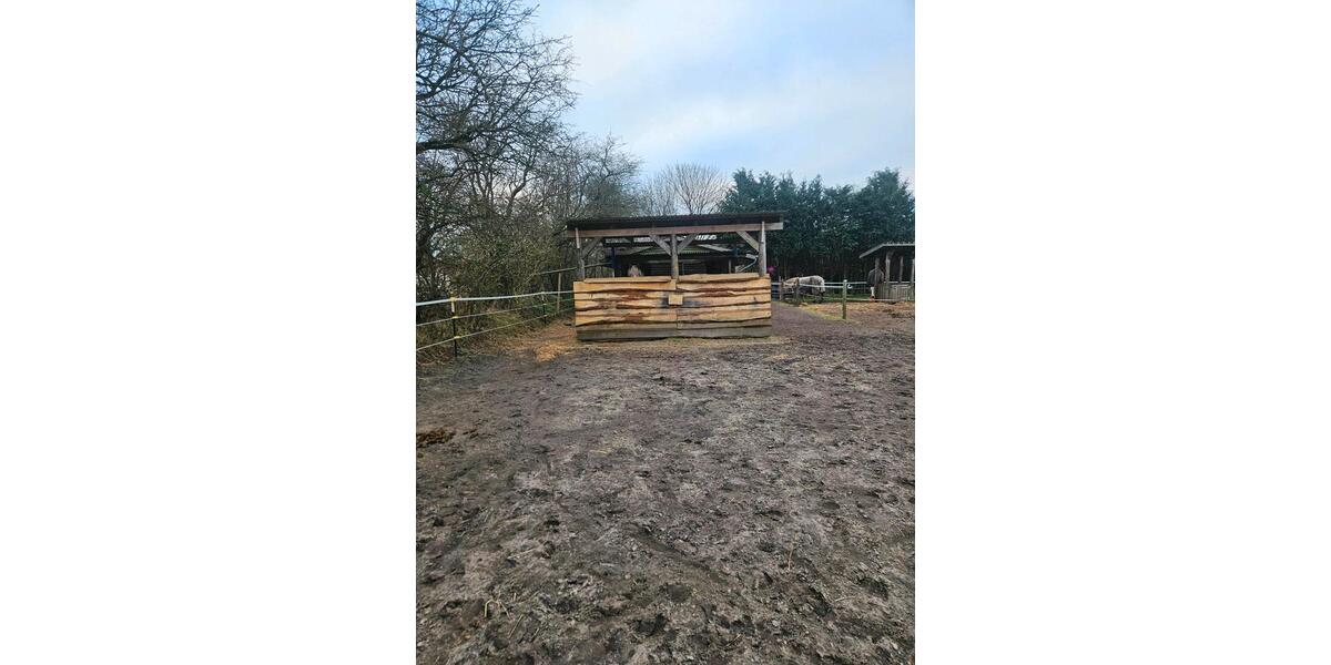 Wohnung mit Pferdehaltung 4 zimmer