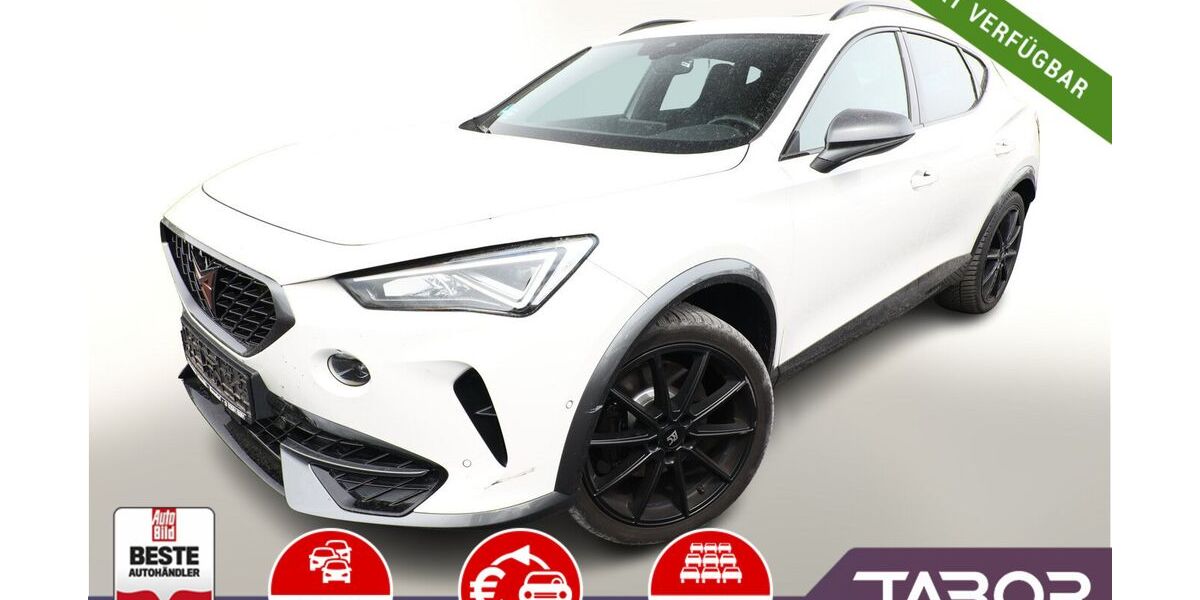 Cupra Formentor 93.650 km 25.488 &euro; Kehl 77694