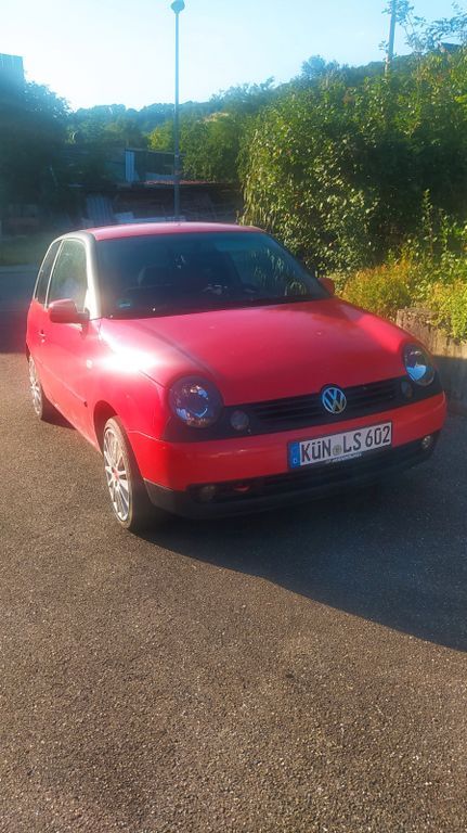 Lupo