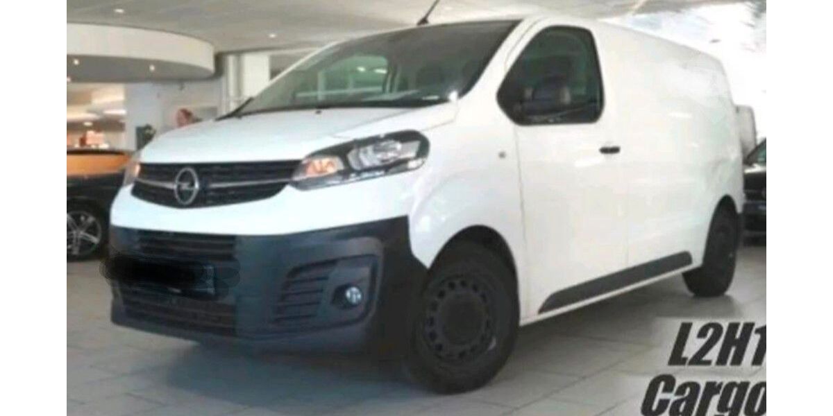 Opel Vivaro 122.000 km 13.000 &euro; Hecklingen 39444