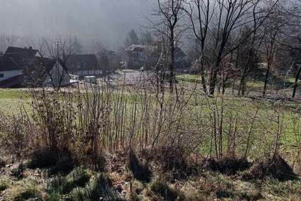 Grundstück zu verkaufen in GersfeldRhön 35.000 € 500 m² zimmer