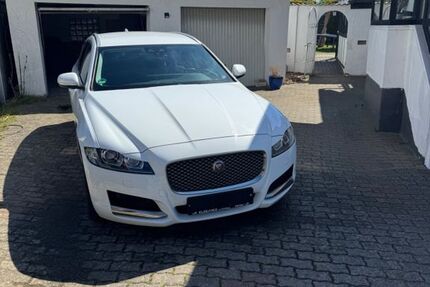 Jaguar XF 139.362 km 19.000 &euro; Bad Oeynhausen 32549