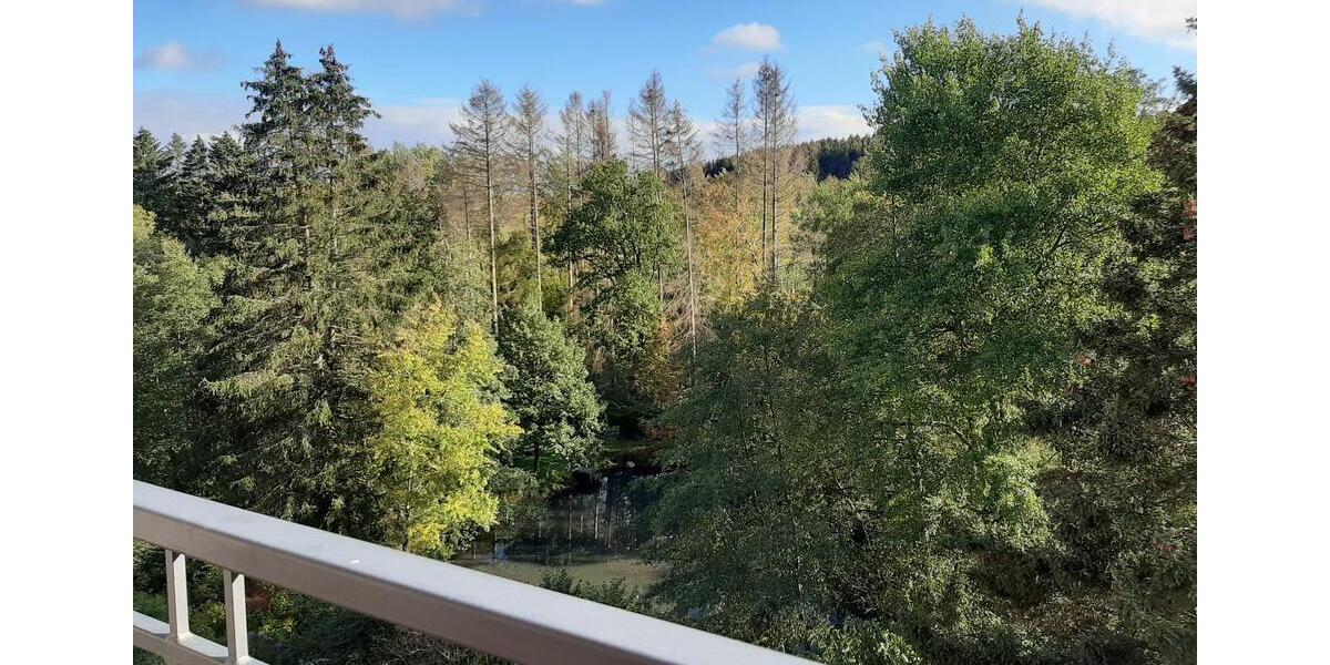 Renovierte+Vermietete Wohnung in Brilon mit Balkon +6%Mietrendite 1.5 zimmer