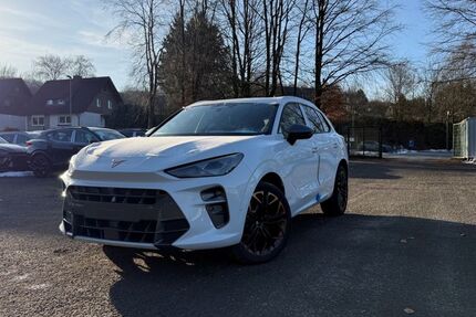 Cupra Terramar 8.000 km 49.490 &euro; Siegen 57072
