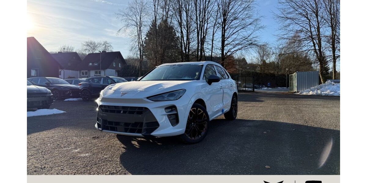 Cupra Terramar 8.000 km 49.490 &euro; Siegen 57072