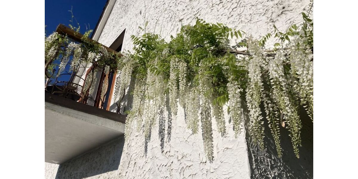 Provisionsfrei* Haus in sehr guter, ruhiger Wohnlage mit Weitblick über Sundern zu verkaufen - Einfamilienhaus Sundern | Angebot:26104902