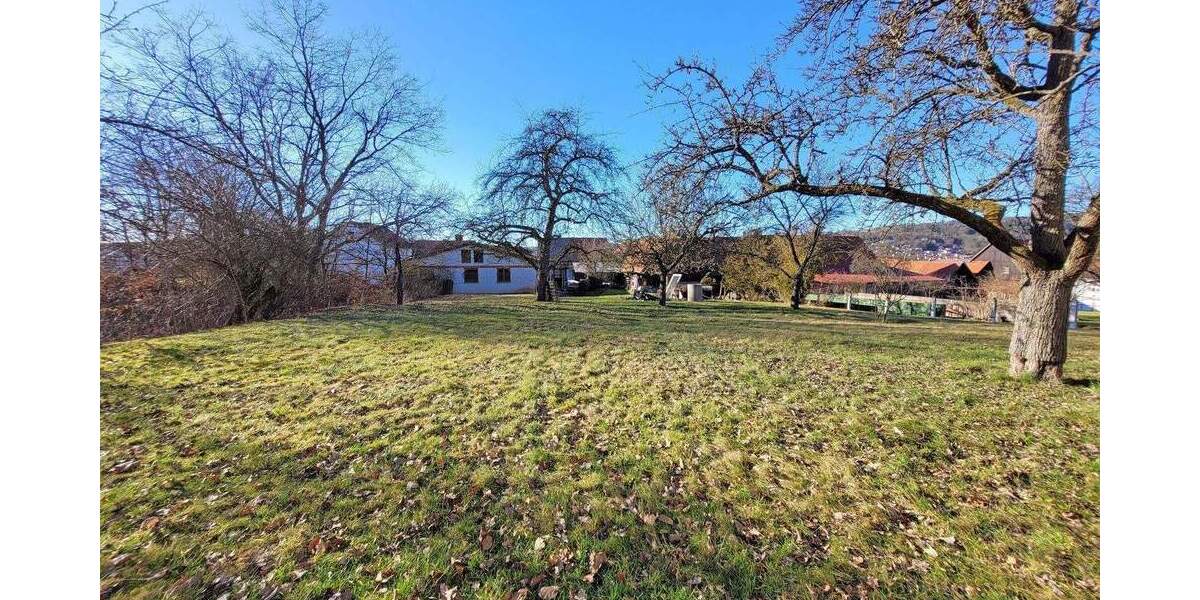 Gewerbeobjekt Niederaula Mengshausen - 310.000&euro; | Angebot:25898636