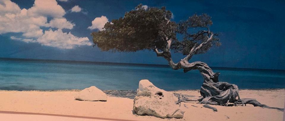 Abendsberg Mitte, voll möblierte Wohnung zur Kurz- oder Langzeitm 3 zimmer