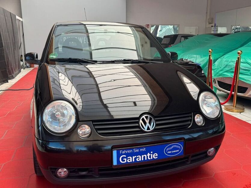 Lupo