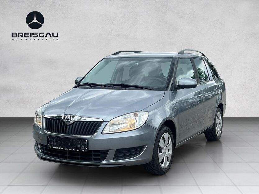 Skoda Fabia 115.061 km 7.990 € Emmendingen 79312