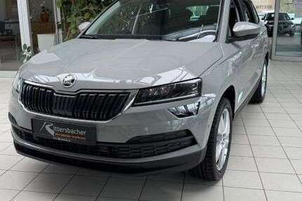 Skoda Karoq 116.766 km 20.990 &euro; Germersheim 76726