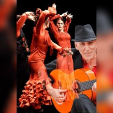 Rubin de la Ana Flamenco puro arte - Baile Fernando Galán 06.11.2025 Alwine Landhaus an den Spreewiesen, Saal Historischer Stall