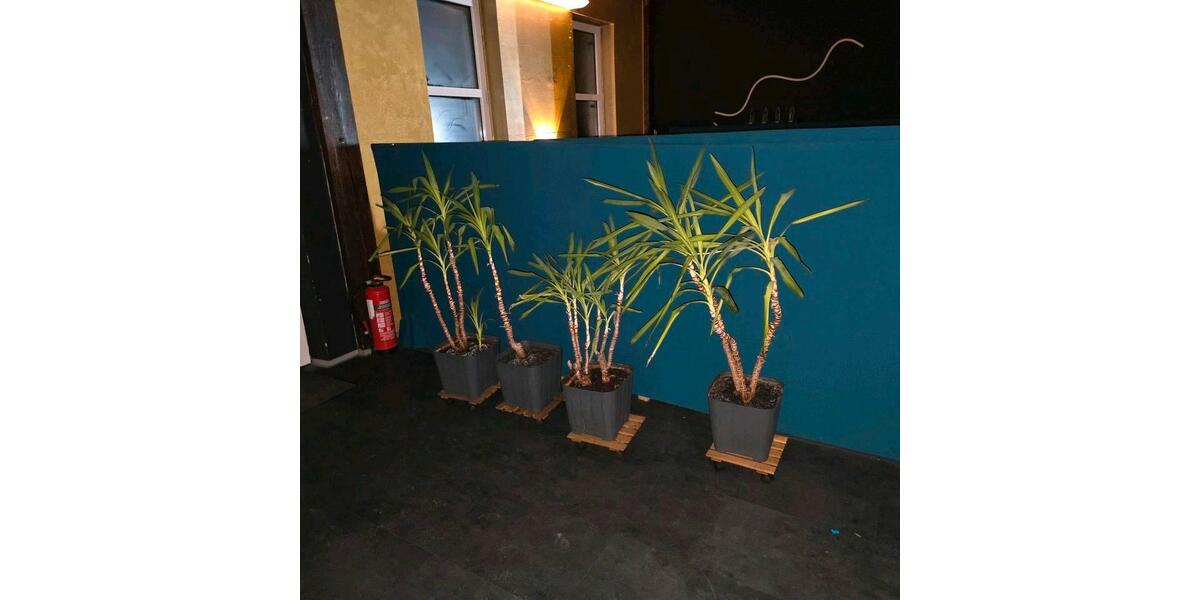 Gewerbeobjekt Bad Windsheim - 1.000&euro; | Angebot:26638147