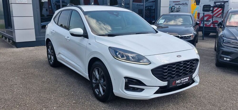 Kuga