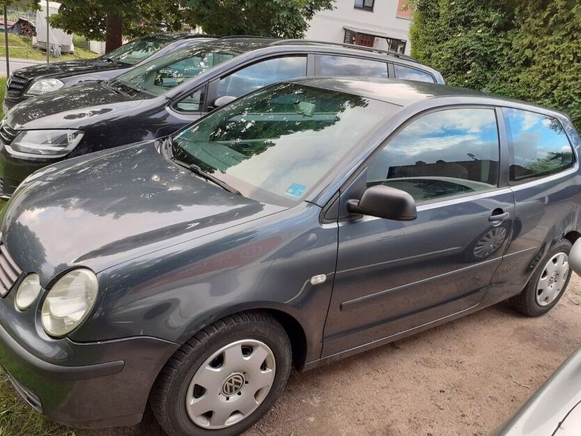 Polo