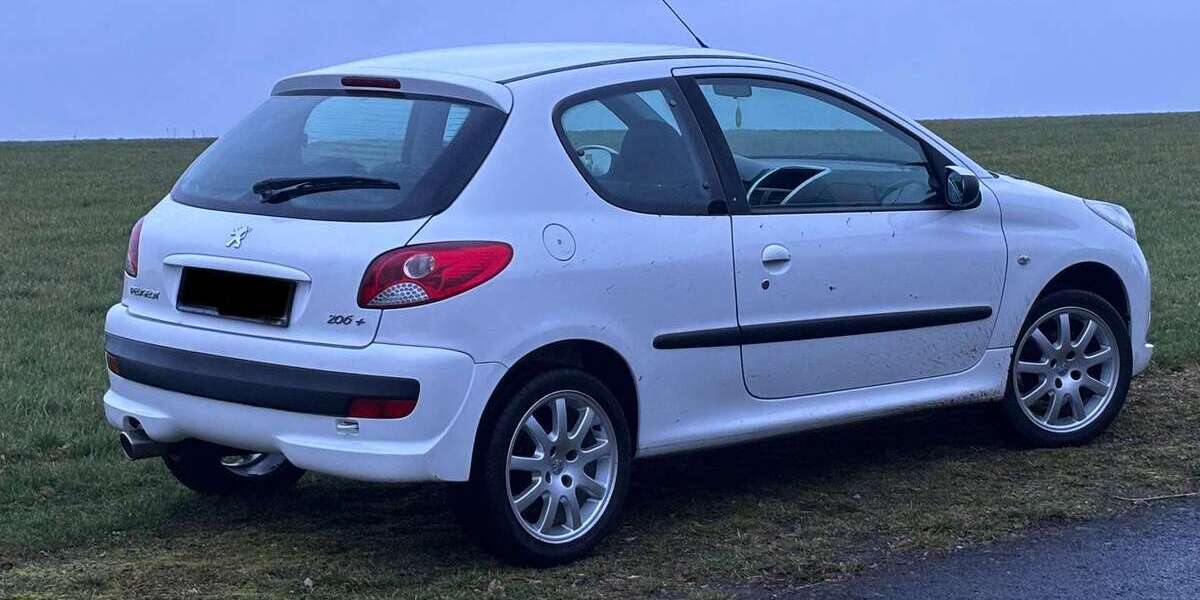 Peugeot 206 112.016 km 2.700 &euro; Hennweiler 55608