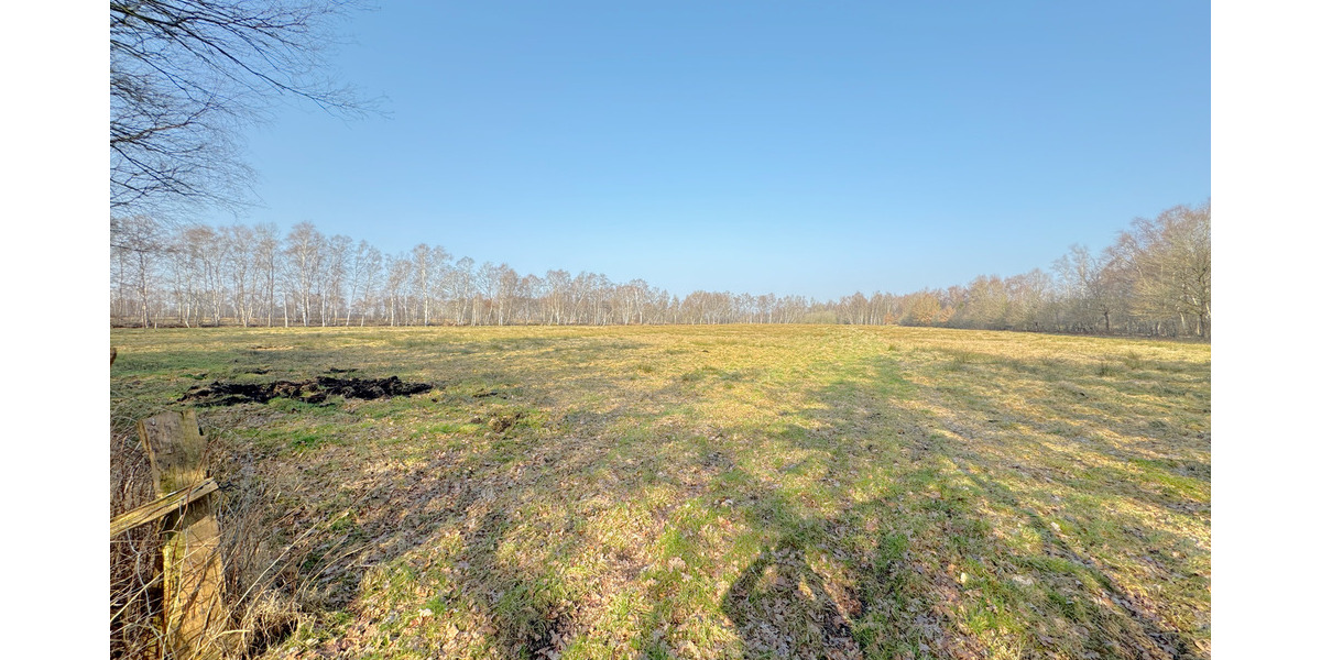 Bauernhaus, Landhaus Osterholz-Scharmbeck Teufelsmoor - 7 Zimmer, 196 m&sup2;, 379.000&euro; | Angebot:25898716