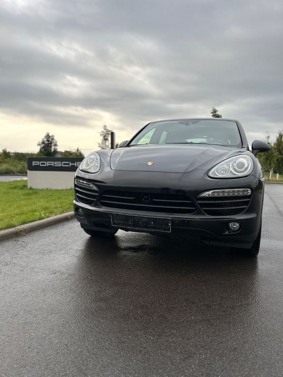 Cayenne