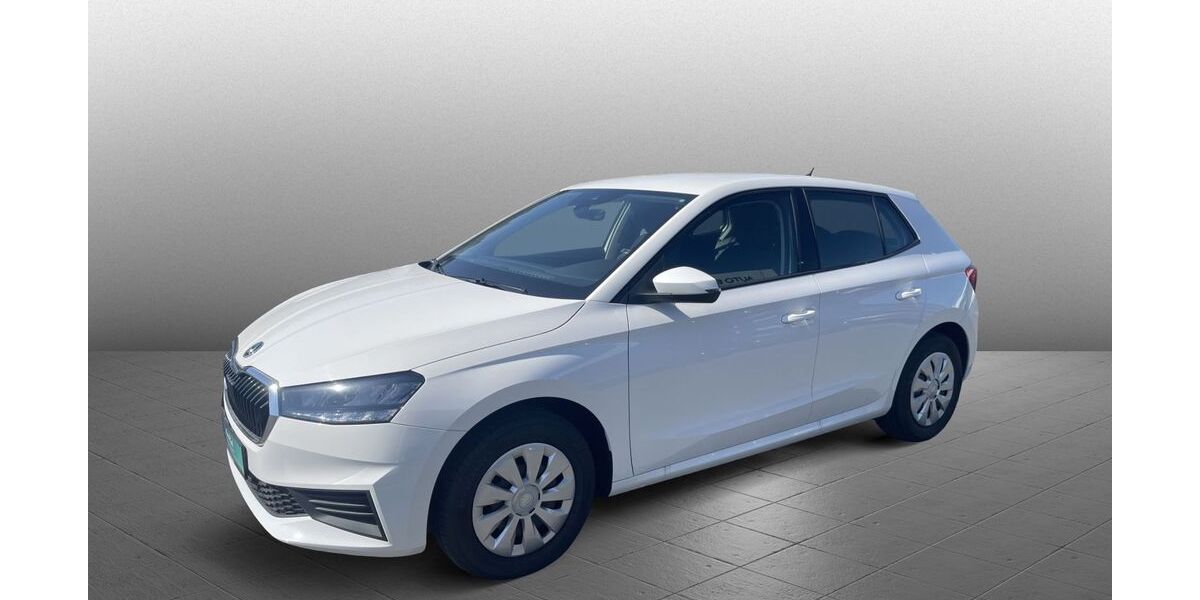 Skoda Fabia 52.119 km 14.990 &euro; Diez 65582