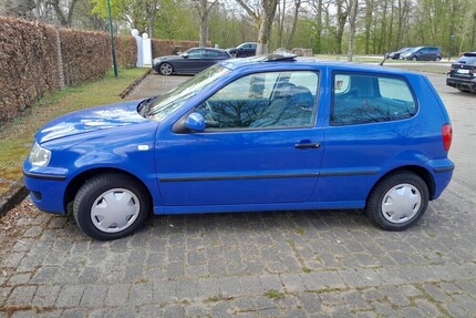 VW Polo