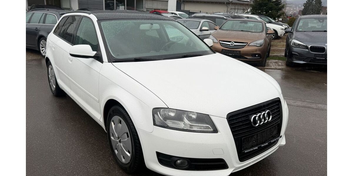 Audi A3 178.000 km 5.499 &euro; Gundelsheim 74831