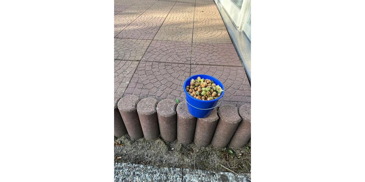 Einfamilienhaus Pinneberg - 4 Zimmer, 115 m&sup2;, 1.600&euro; | Angebot:26098833