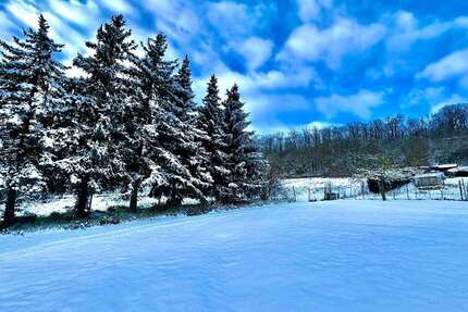 Grundstück Freyburg (Unstrut) - 70.000&euro; | Angebot:19886028