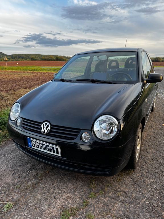 Lupo