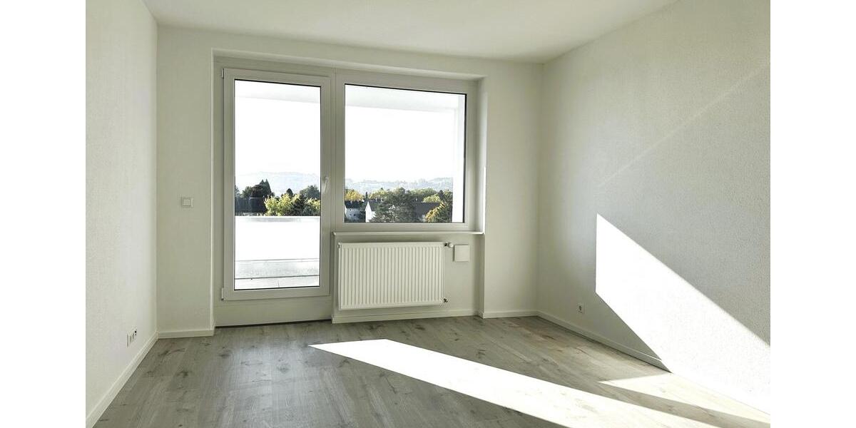 Neuwertige 4 Zim.-Penthouse Wohnung am See mit riesen Terrasse in Singen 4 zimmer