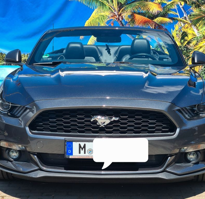 Mustang