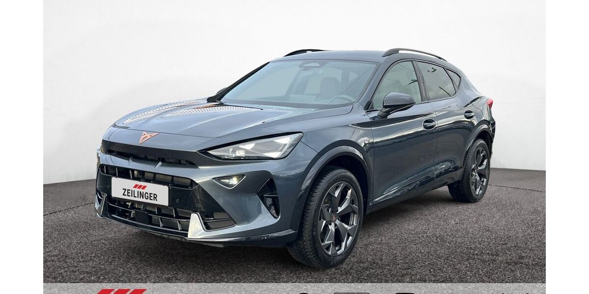 Cupra Formentor 1.380 km 29.988 &euro; Dietersheim 91463