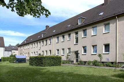 Wohnung Paderborn - 2 Zimmer, 36 m&sup2;, 369&euro; | Angebot:27457469
