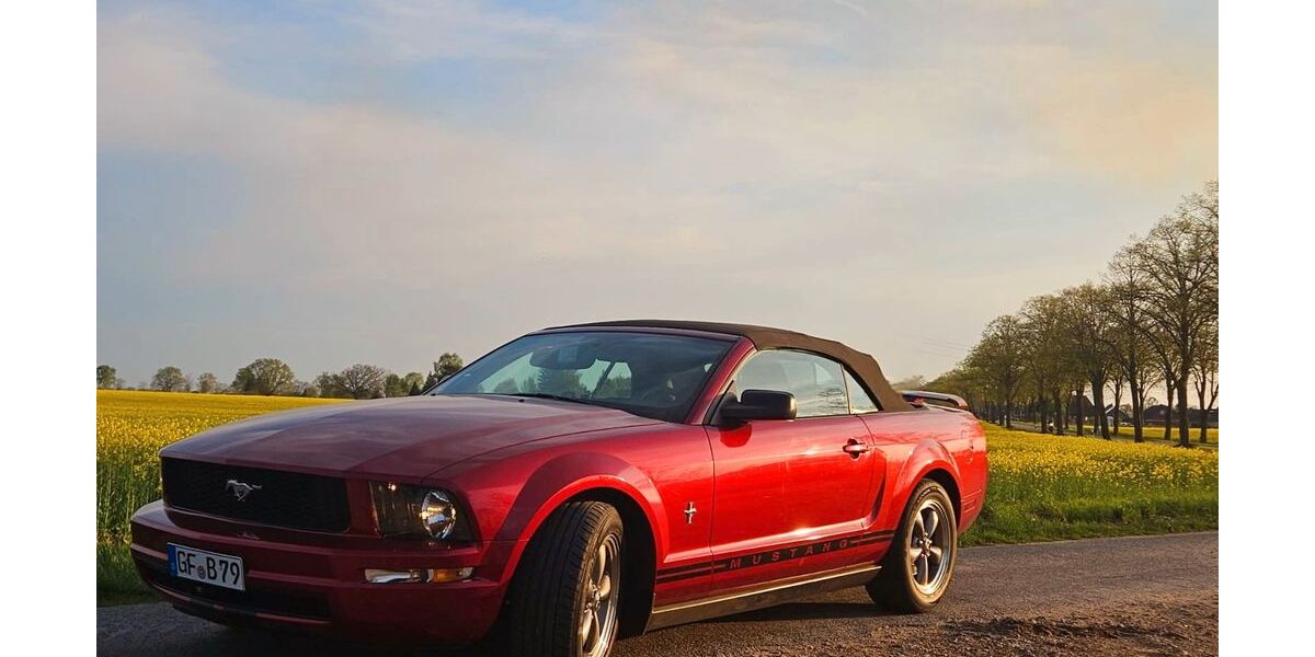 Ford Mustang 165.000 km 14.999 &euro; Tülau 38474