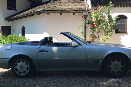 Mercedes-Benz SL 300 158.136 km 19.950 &euro; Massing 84323