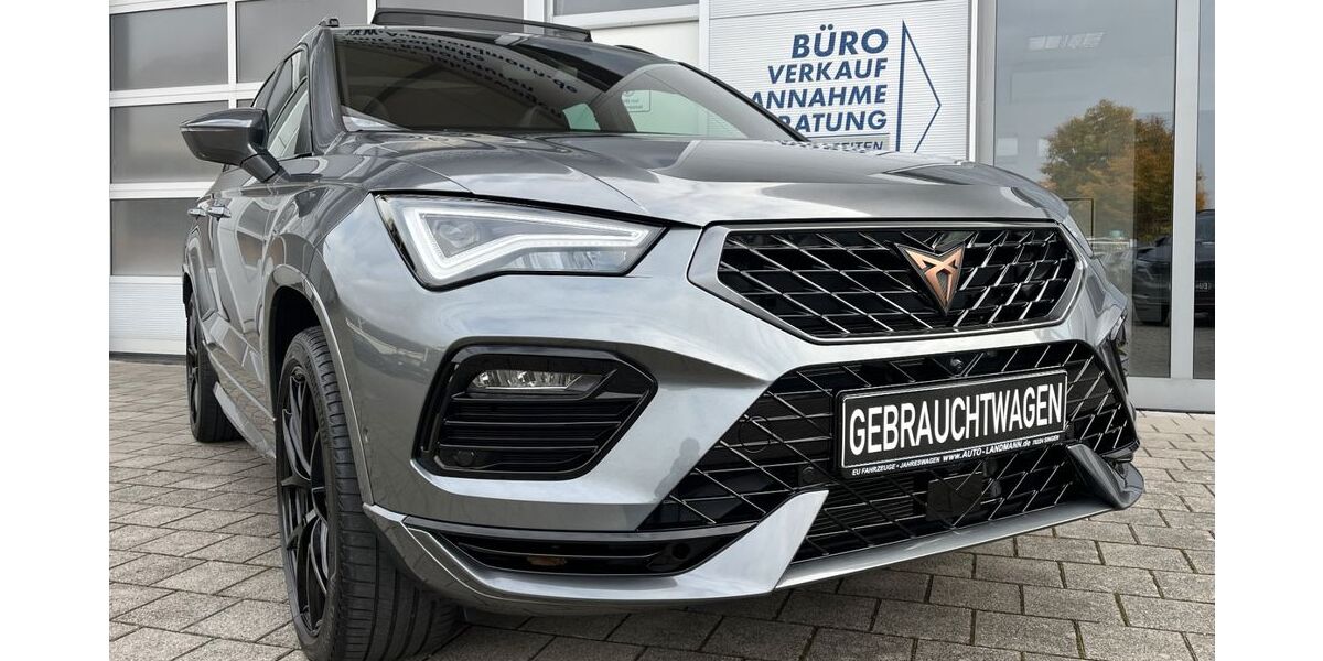 Cupra Ateca 22.700 km 39.990 &euro; Singen 78224