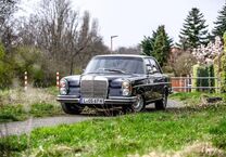 Gebrauchtwagen Mercedes 250 SE