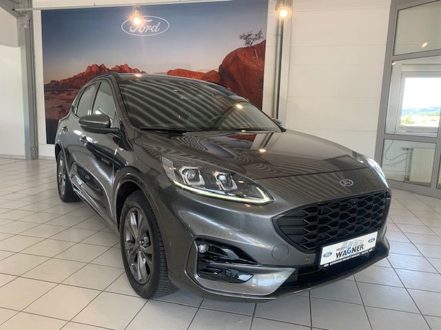 Kuga